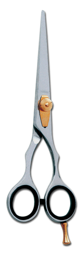 Professional Scissors